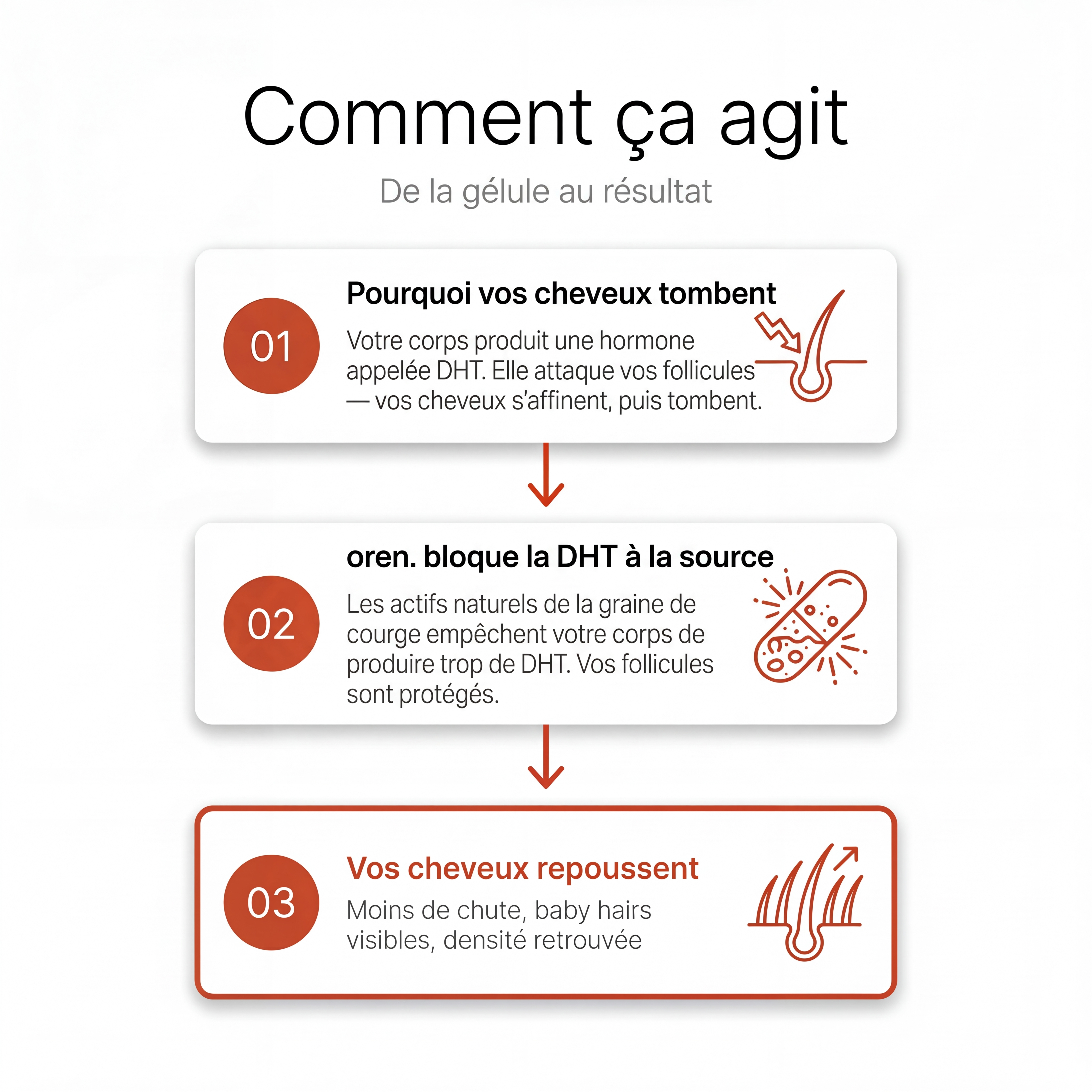 Pépins de Courge Softgels — Anti-DHT Naturel